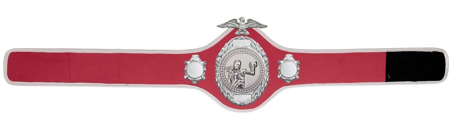 FEMALE BOXING CHAMPIONSHIP BELT-PRO288/S/FEMBOXS - 10 COLOURS FEMALE BOXING CHAMPIONSHIP BELT-PRO288/S/FEMBOXS - 10 COLOURS